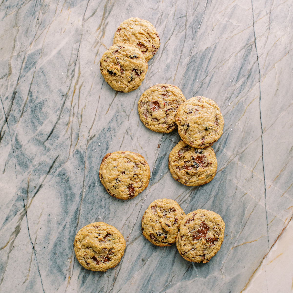 Frozen Chocolate &amp; Cranberry Oatmeal Cookie Dough (Unbaked 6-Pack)